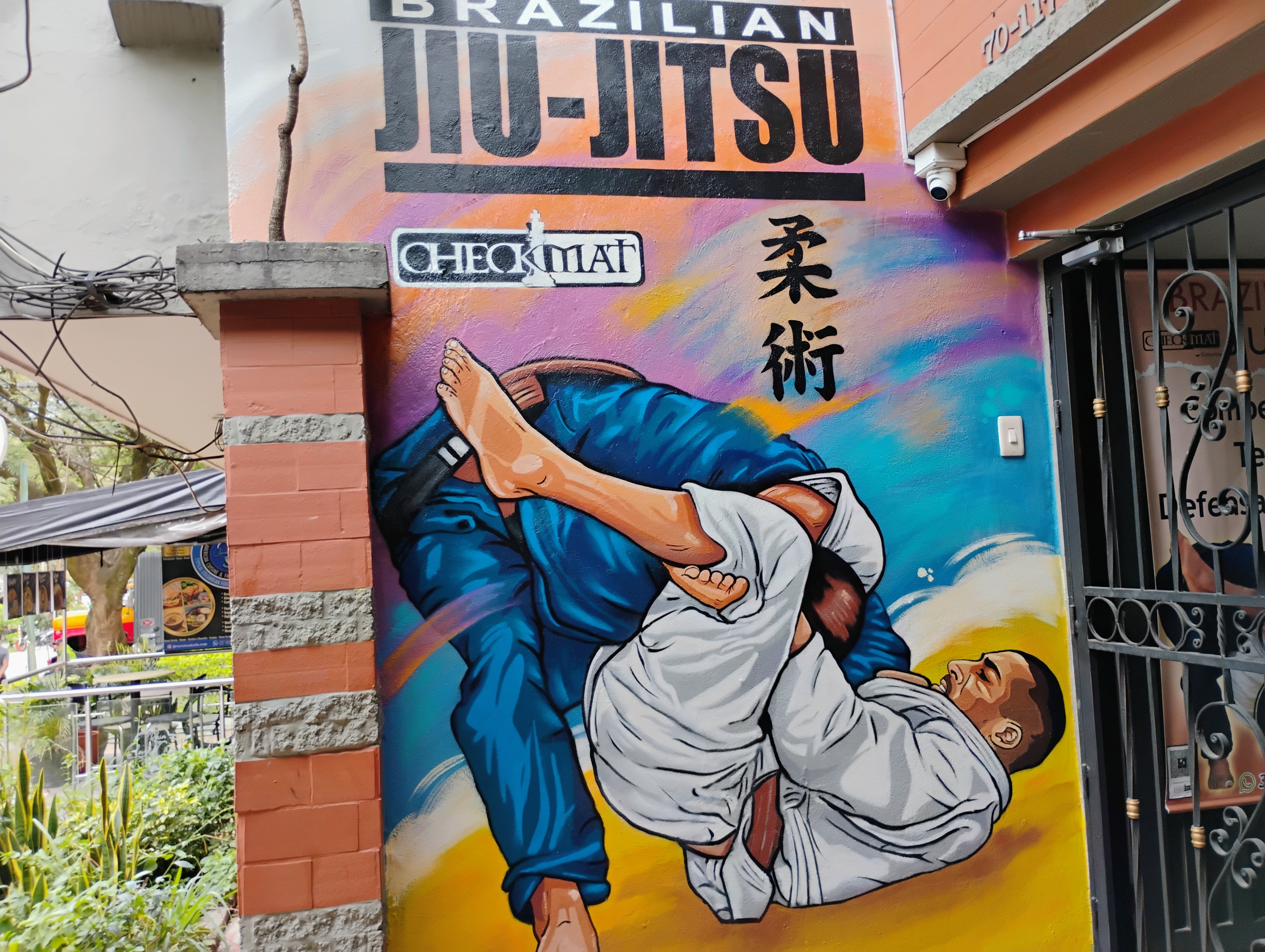Checkmat BJJ mural