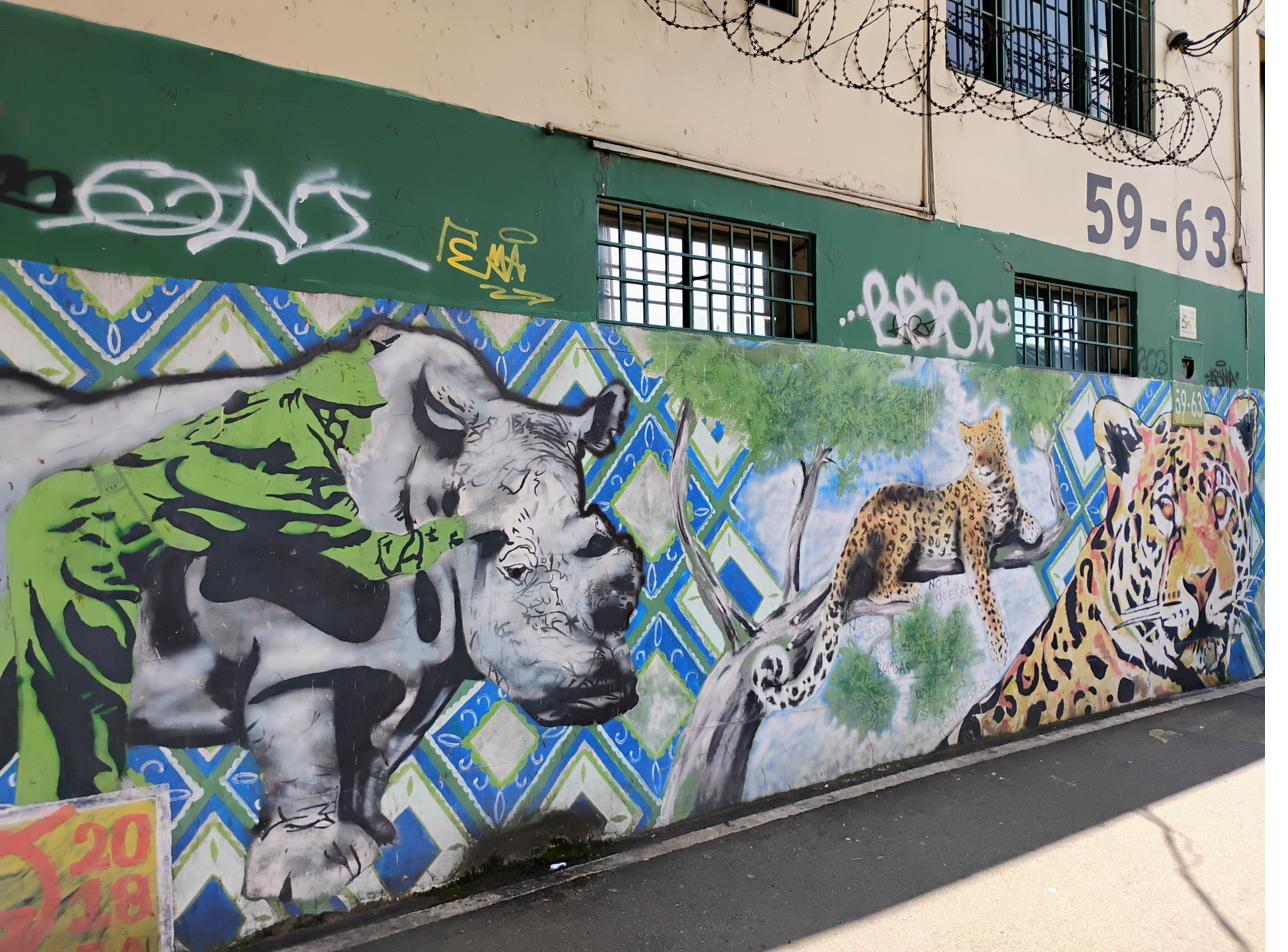 Rhino and jaguar wildlife mural
